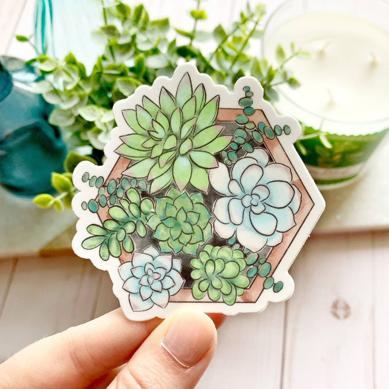 Succulent Planter Sticker